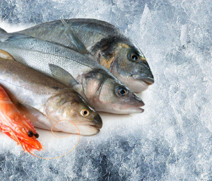 Why Frozen Fish is Better